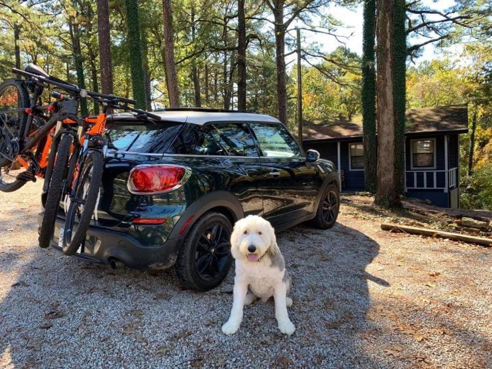 Loblolly Pines Adventure Cabin 2 King Eureka Springs Esterno foto